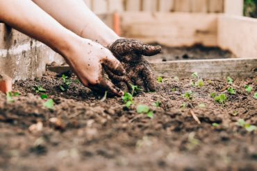 Comment la nature peut aider à réduire le stress au quotidien